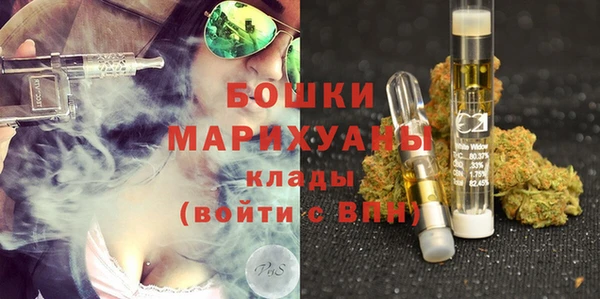 шишки Медногорск