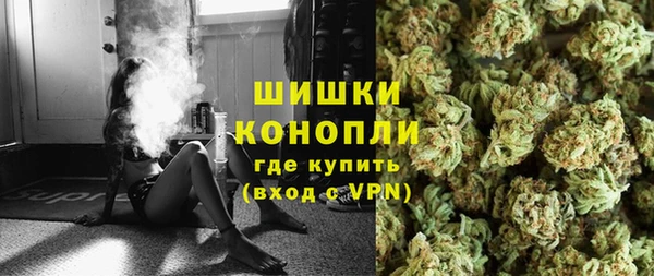 шишки Медногорск
