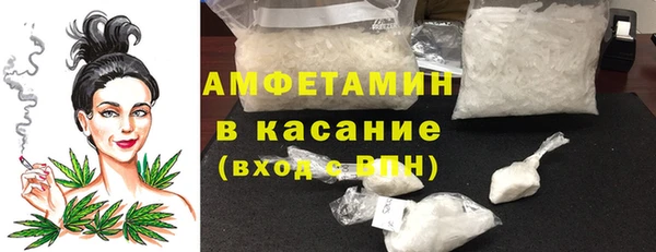 шишки Медногорск