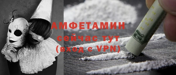 шишки Медногорск