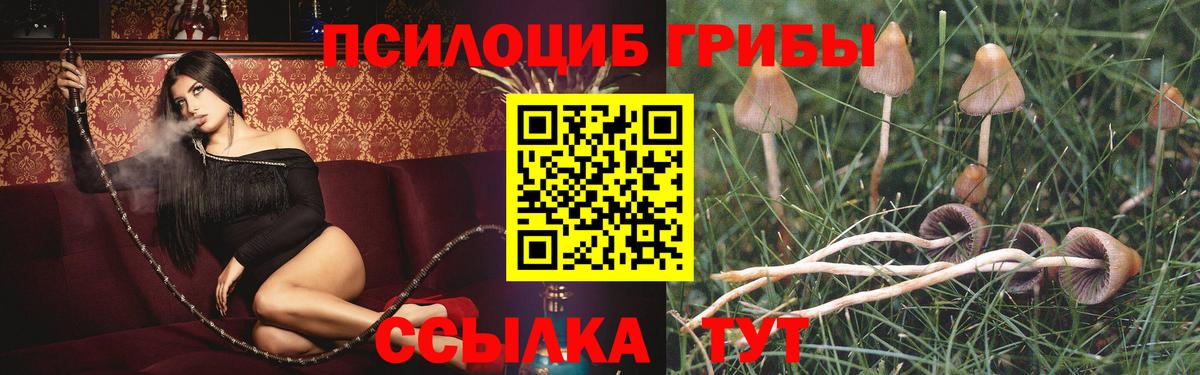 Псилоцибиновые грибы ЛСД  Вход с VPN  Галлюциногенные грибы прущие грибы  Тихорецк 