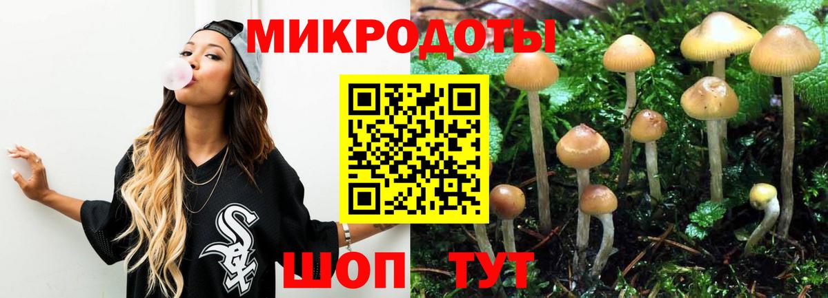 Псилоцибиновые грибы Psilocybine cubensis Тихорецк