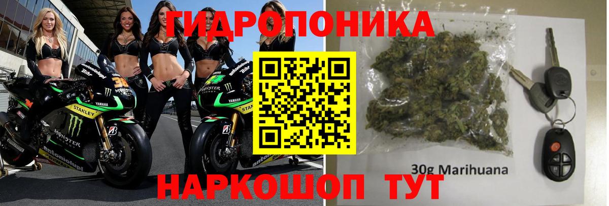 Бошки Шишки AK-47  Бошки Шишки планчик  Тихорецк  Каннабис Amnesia  Вход с VPN 
